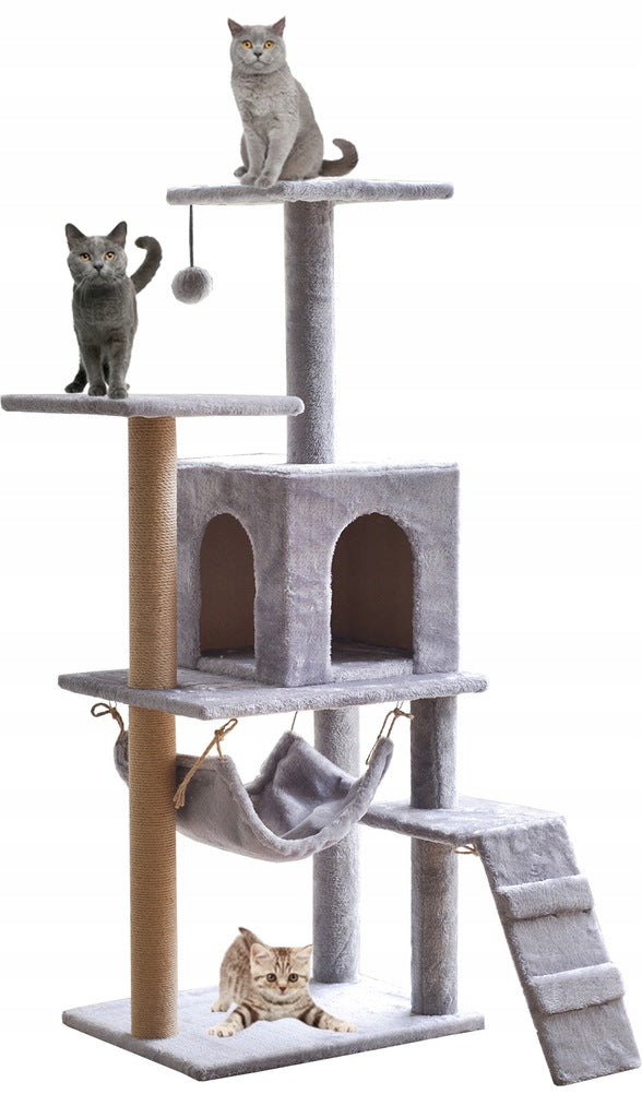 Cat Climbing Tower M2